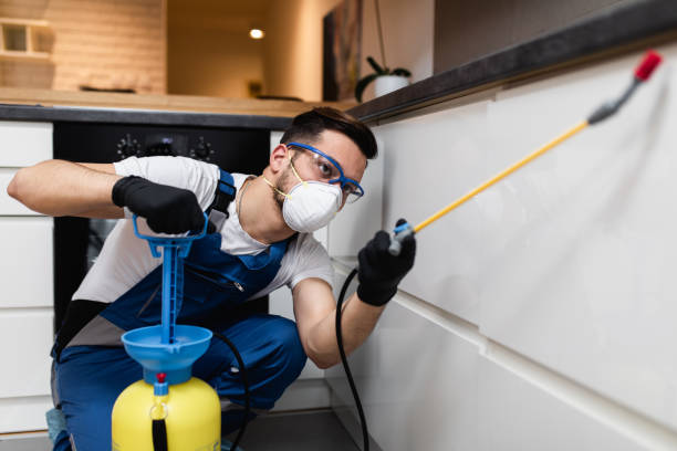 Best Pest Prevention Services  in Oceana, WV