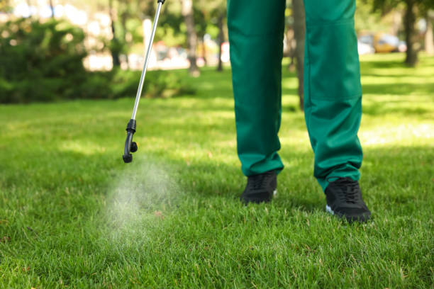 Best Ant Control Services  in Oceana, WV