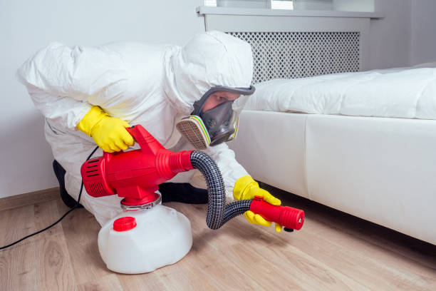 Trusted Oceana, WV Pest Control Experts