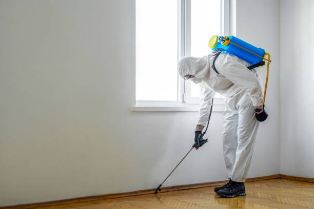 Best Residential Pest Control  in Oceana, WV
