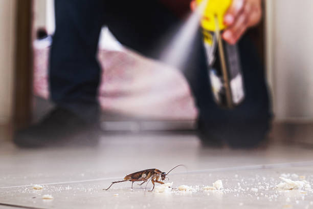 Best Termite Control Services  in Oceana, WV