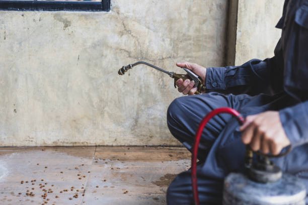Best Affordable Exterminators  in Oceana, WV